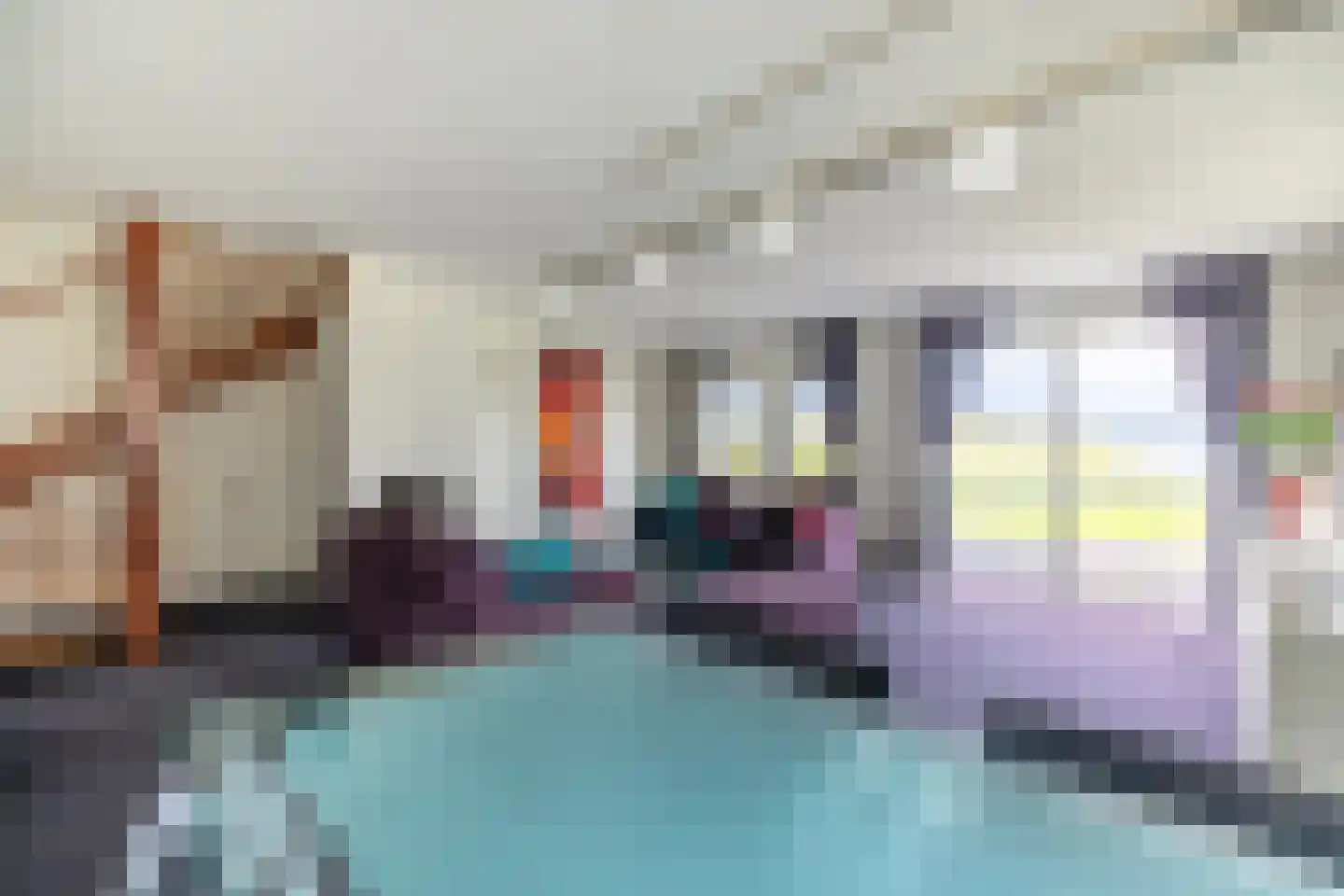 Zilvermeeuw 8 Lathum thumbnail 8