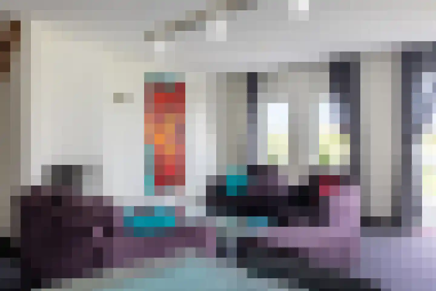 Zilvermeeuw 8 Lathum thumbnail 9