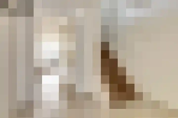 Zilvermeeuw 9 De Lier thumbnail 10
