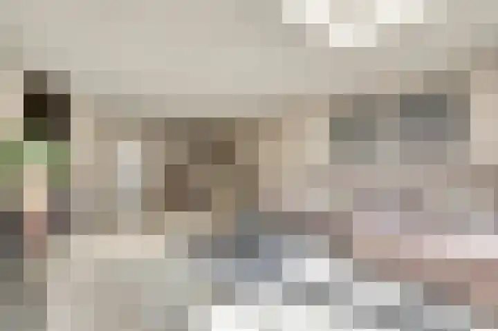 Zilvermeeuw 9 De Lier thumbnail 11