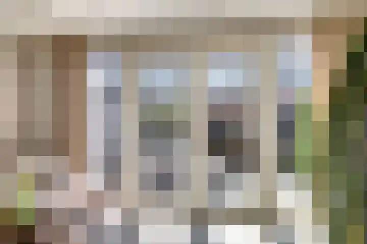 Zilvermeeuw 9 De Lier thumbnail 12
