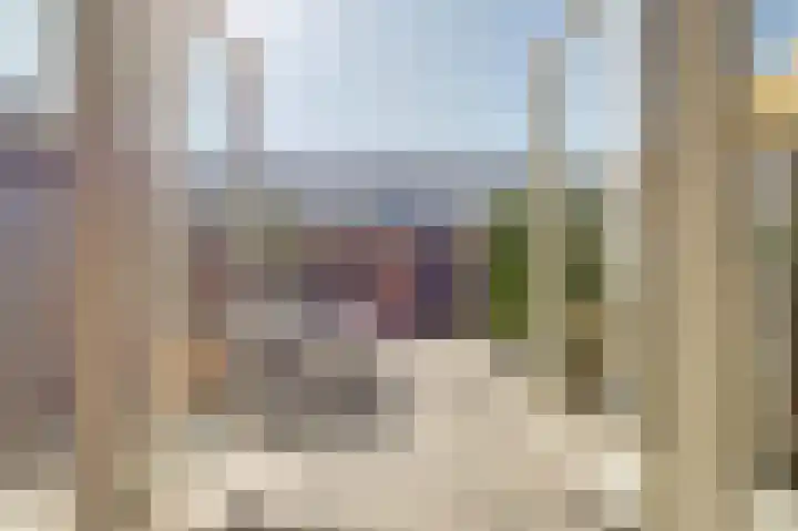 Zilvermeeuw 9 De Lier thumbnail 13