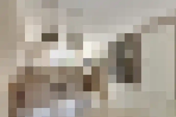 Zilvermeeuw 9 De Lier thumbnail 14