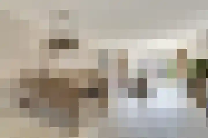 Zilvermeeuw 9 De Lier thumbnail 15
