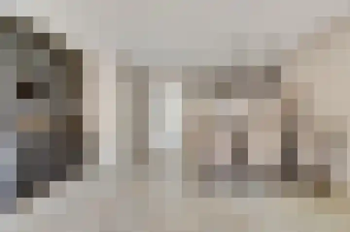 Zilvermeeuw 9 De Lier thumbnail 16