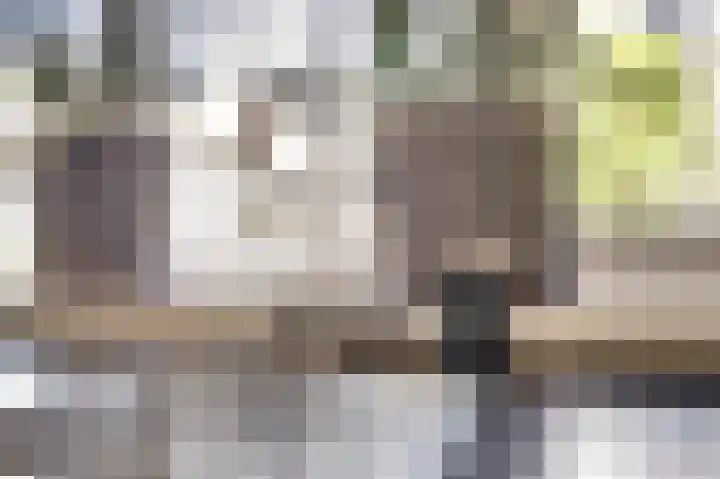 Zilvermeeuw 9 De Lier thumbnail 18