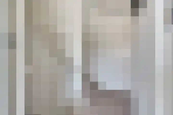 Zilvermeeuw 9 De Lier thumbnail 19