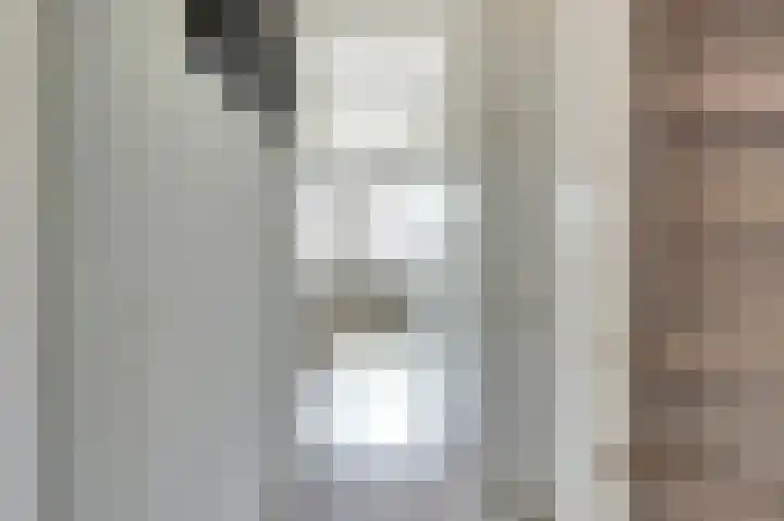 Zilvermeeuw 9 De Lier thumbnail 20