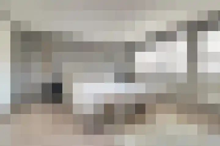 Zilvermeeuw 9 De Lier thumbnail 21