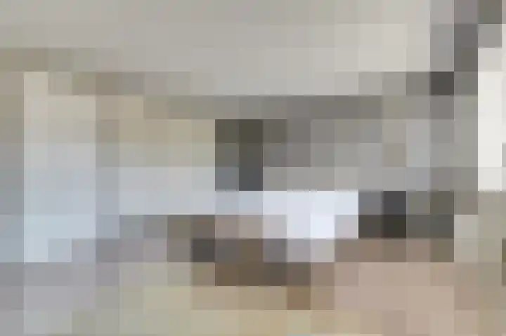 Zilvermeeuw 9 De Lier thumbnail 22