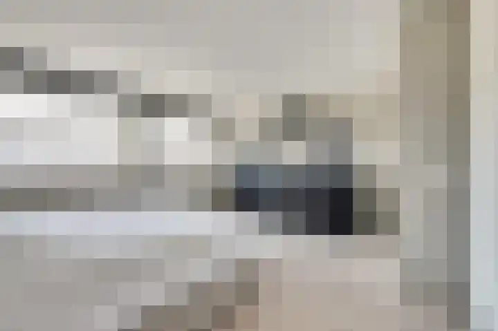 Zilvermeeuw 9 De Lier thumbnail 23
