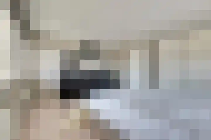 Zilvermeeuw 9 De Lier thumbnail 24