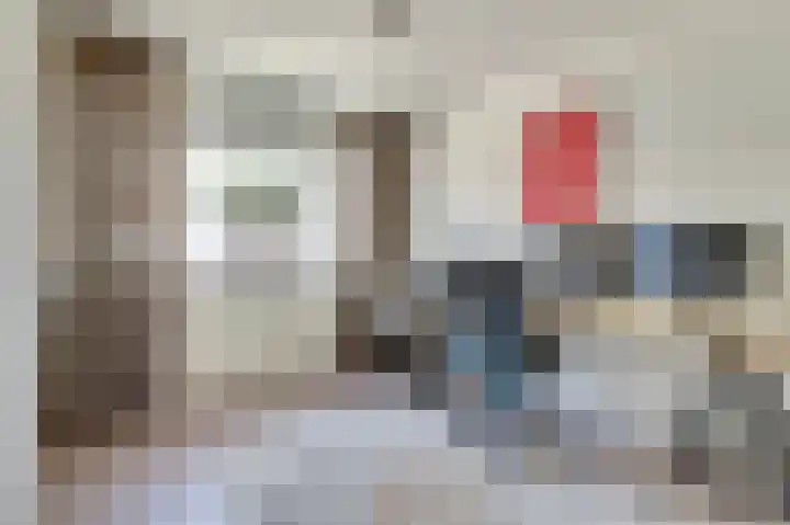 Zilvermeeuw 9 De Lier thumbnail 25