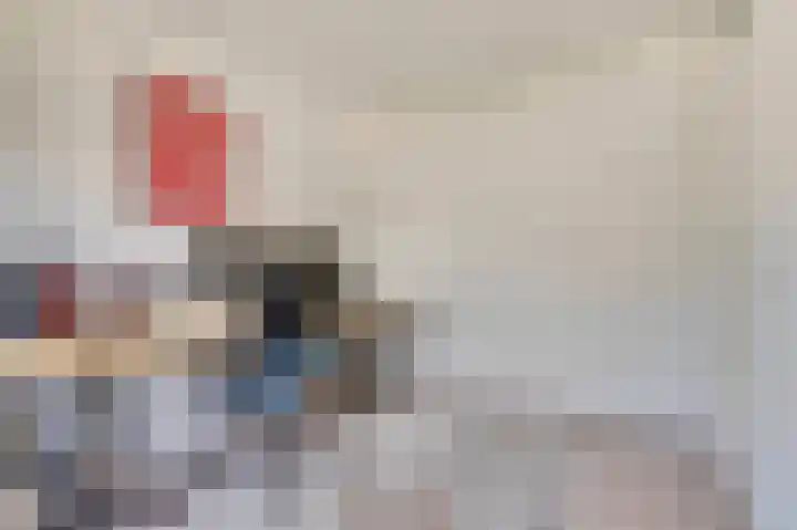 Zilvermeeuw 9 De Lier thumbnail 26