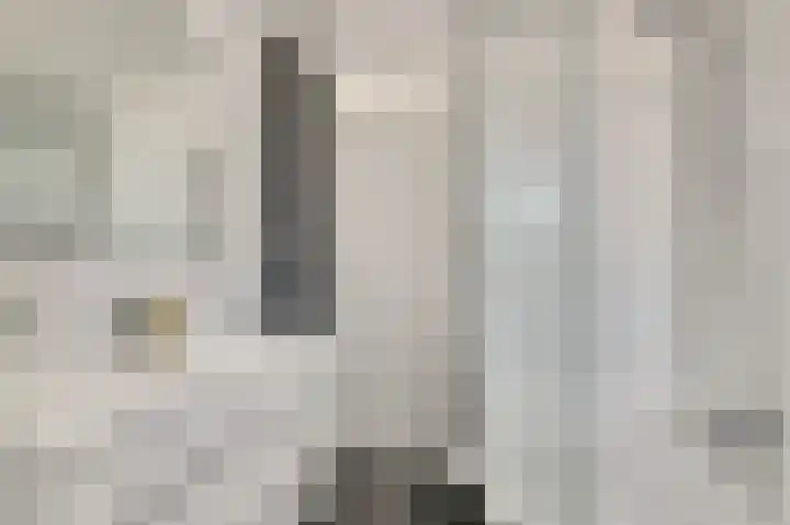 Zilvermeeuw 9 De Lier thumbnail 27