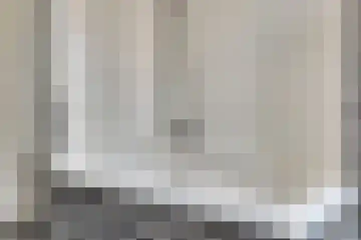 Zilvermeeuw 9 De Lier thumbnail 28
