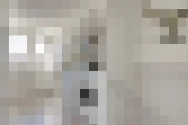 Zilvermeeuw 9 De Lier thumbnail 29
