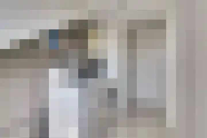 Zilvermeeuw 9 De Lier thumbnail 30