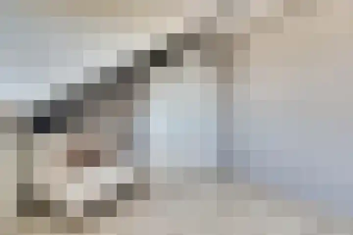 Zilvermeeuw 9 De Lier thumbnail 31