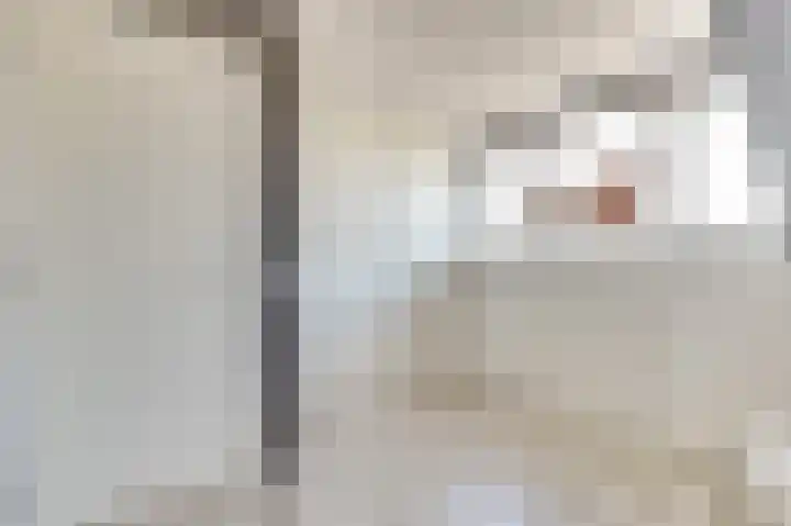 Zilvermeeuw 9 De Lier thumbnail 32