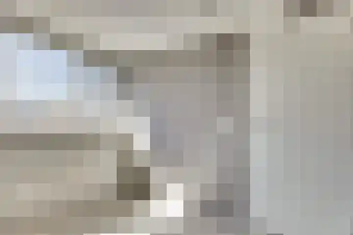 Zilvermeeuw 9 De Lier thumbnail 34