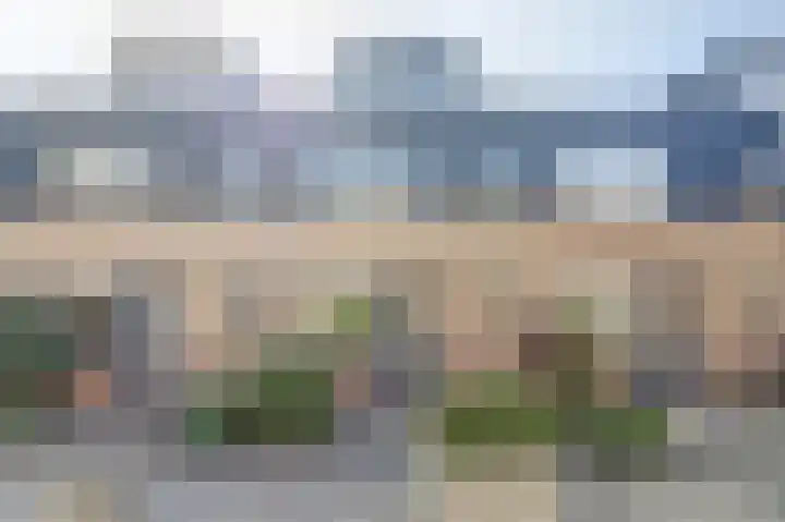 Zilvermeeuw 9 De Lier thumbnail 35