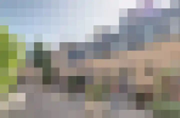 Zilvermeeuw 9 De Lier thumbnail 36
