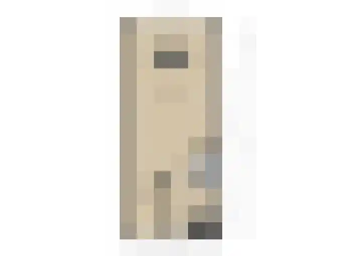 Zilvermeeuw 9 De Lier thumbnail 37