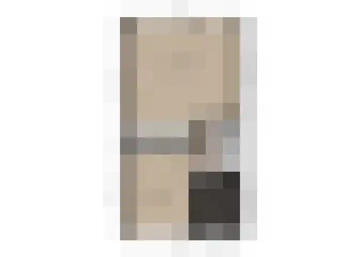 Zilvermeeuw 9 De Lier thumbnail 38