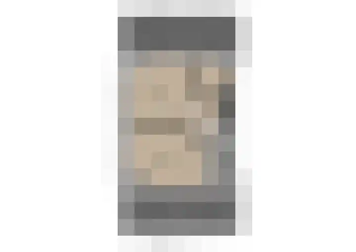 Zilvermeeuw 9 De Lier thumbnail 39