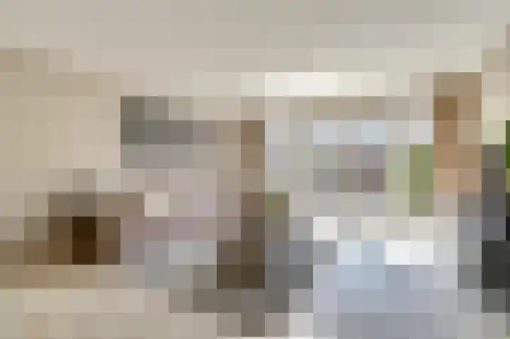 Zilvermeeuw 9 De Lier thumbnail 4
