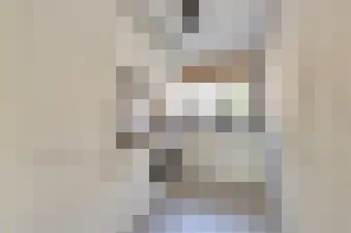 Zilvermeeuw 9 De Lier thumbnail 5