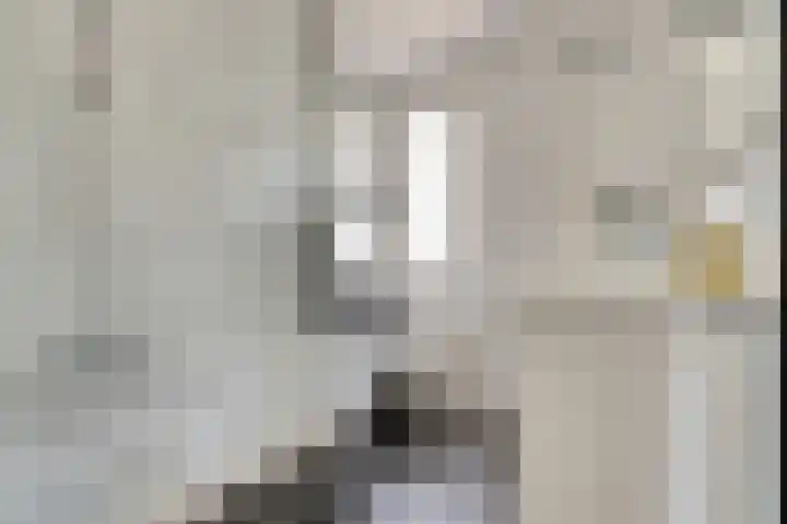 Zilvermeeuw 9 De Lier thumbnail 6