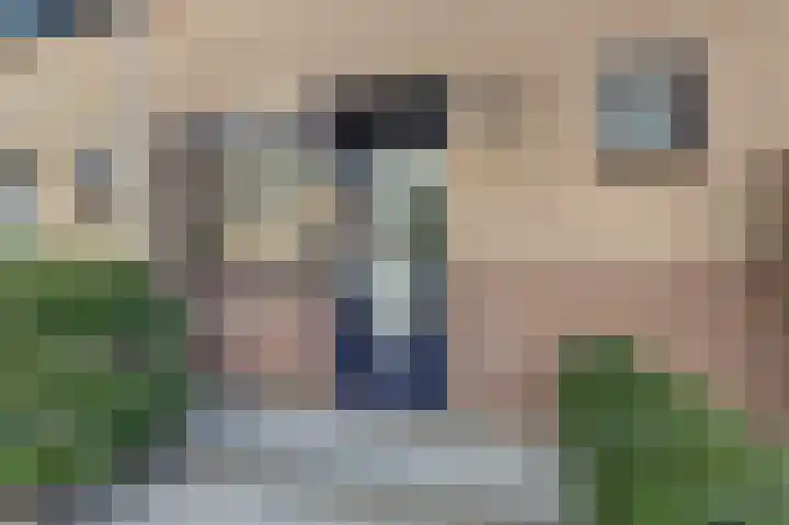Zilvermeeuw 9 De Lier thumbnail 7
