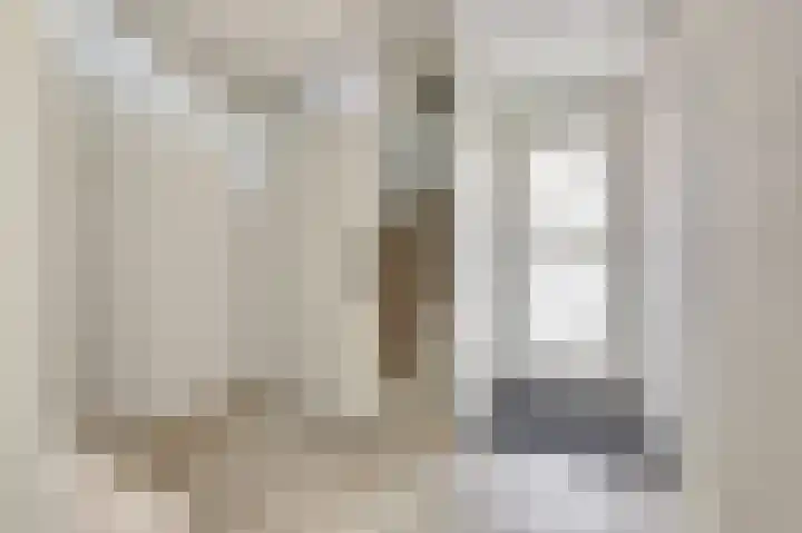 Zilvermeeuw 9 De Lier thumbnail 8