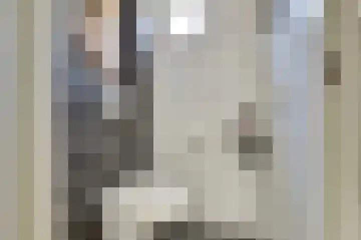 Zilvermeeuw 9 De Lier thumbnail 9