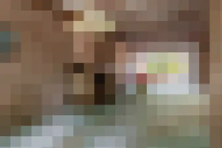 Zilvermeeuwhof 13 Nuenen thumbnail 12