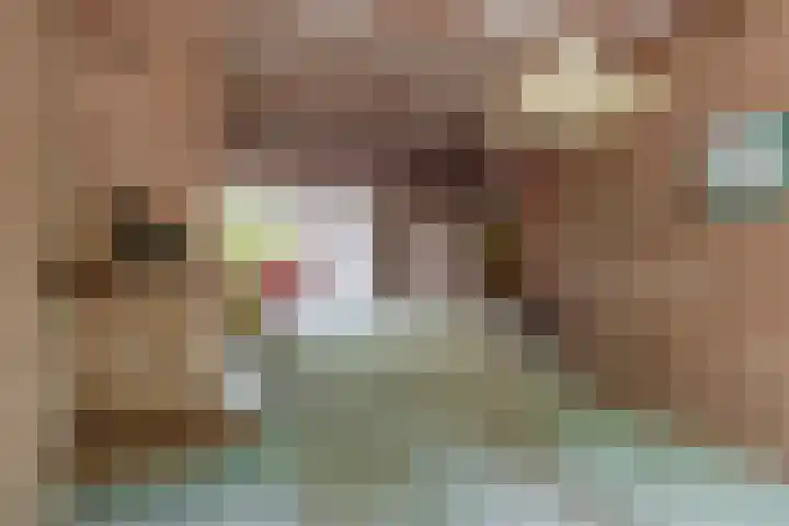 Zilvermeeuwhof 13 Nuenen thumbnail 13