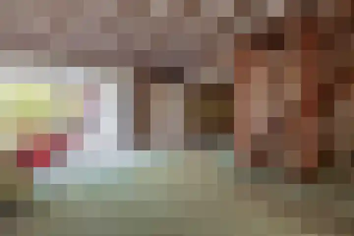Zilvermeeuwhof 13 Nuenen thumbnail 15