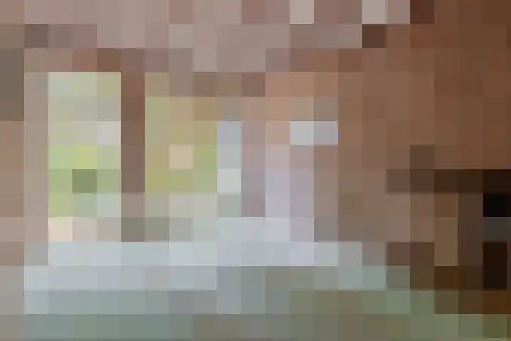 Zilvermeeuwhof 13 Nuenen thumbnail 16