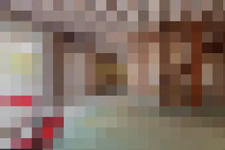 Zilvermeeuwhof 13 Nuenen thumbnail 18
