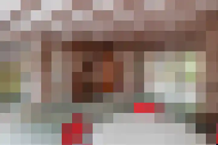 Zilvermeeuwhof 13 Nuenen thumbnail 19