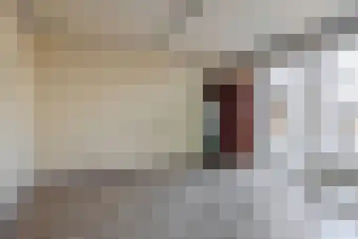 Zilvermeeuwhof 13 Nuenen thumbnail 23