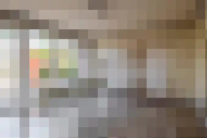 Zilvermeeuwhof 13 Nuenen thumbnail 24