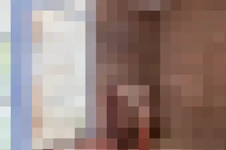 Zilvermeeuwhof 13 Nuenen thumbnail 25