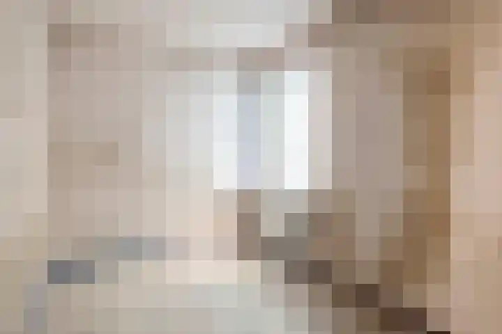 Zilvermeeuwhof 13 Nuenen thumbnail 28