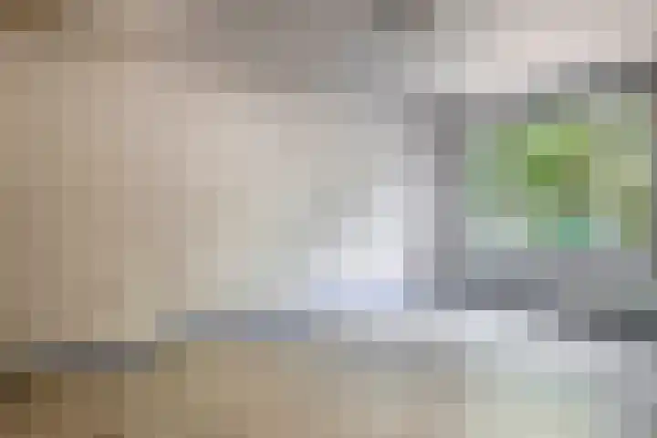 Zilvermeeuwhof 13 Nuenen thumbnail 29
