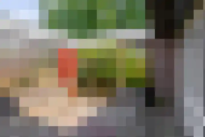 Zilvermeeuwhof 13 Nuenen thumbnail 34