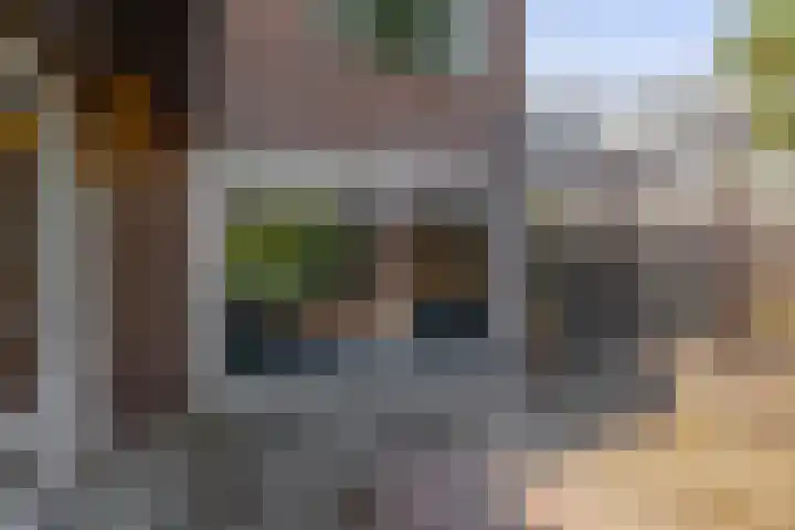 Zilvermeeuwhof 13 Nuenen thumbnail 35