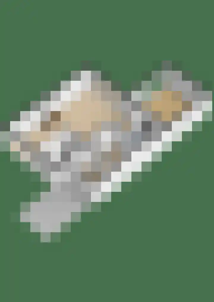Zilvermeeuwhof 13 Nuenen thumbnail 40